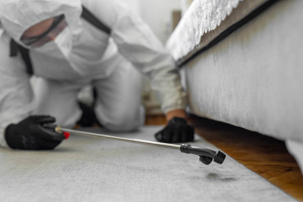 Professional Cockroach Control technician working in Garfield, NJ
