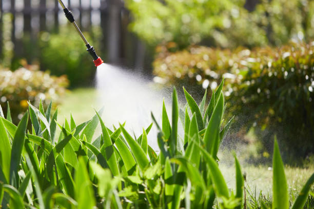 24/7 Emergency Cockroach Control experts in Garfield, NJ