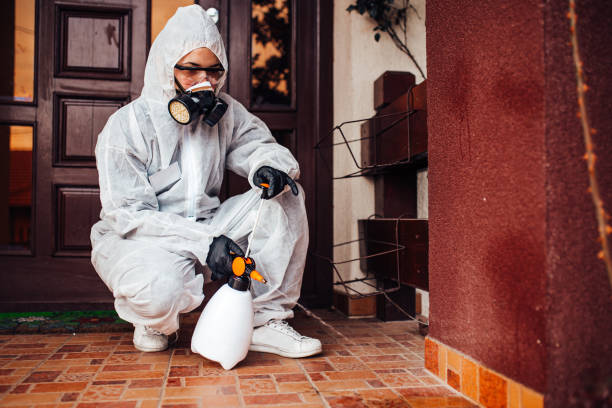 Reliable Cockroach Control contractor in Garfield, NJ by Nex Pest Control